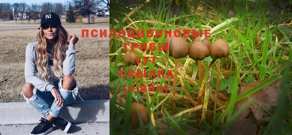 метадон Алзамай